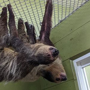 Meet your Posher, Candace